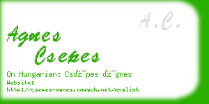 agnes csepes business card